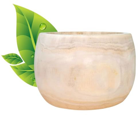 Hortico Natural Wooden House Planter | ECO Round Indoor Plant Pot with Waterproof Liner D26 H17 cm, 4.3L