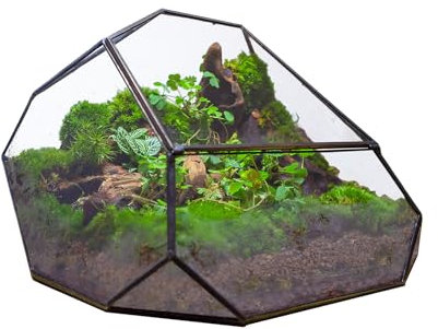 NCYP 27,4X 22x16,5 cm Unregelmäßiges geometrisches Glasterrarium mit Deckel für Sukkulenten, Felsform, Klare Mikro Landschaft, Schwarz Handgefertigt Innendekoration (Ohne Pflanzen)