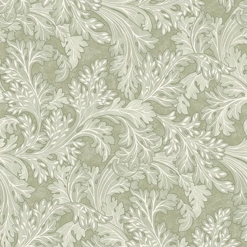 Botanical Scroll Sage Green Wallpaper - Floral Leaves Naturistic Classic Traditional - Trendy Stylish Feature Wall