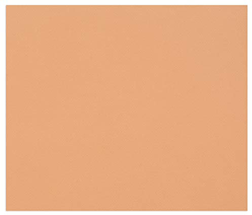 Clairefontaine 960589C Pack mit 50 Blatt Zeichenpapier Tulipe, 160g, DIN A3, säurefrei, 100% Zellulose, 1 Pack, rost