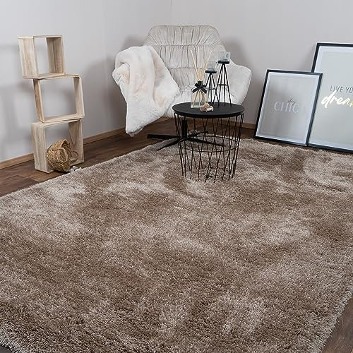 Consilio Concept 160 x 230 Teppich Wohnzimmer Beige Hochflor Shaggy langflorig Handmade handgefertigt Wohnzimmerteppich modern Zertifiziert Made in Germany Design Manufaktur Markenteppich Oeko TEX