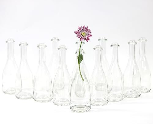 gouveo 12er Set Glasvasen Rustica200 - Runde Blumenvasen aus Glas - Kleine Deko-Vasen für Zuhause, Hochzeiten, Geburtstage, Feste