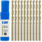 TJR® HSS-E M35 Kobalt Spiralbohrer Stufen Selbstzentrierend Metallbohrer DIN 338 Typ N 135° (10 Stück Ø 4mm)
