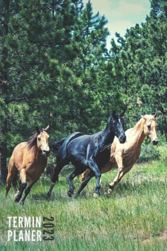 Terminplaner 2023: Pferde - Taschenkalender | 12 Monate | Wochenplaner, Terminkalender von Januar bis Dezember 2023 | Monatsplaner, Taschenkalender, Kontaktliste, Notizen - Klein Taschenformat
