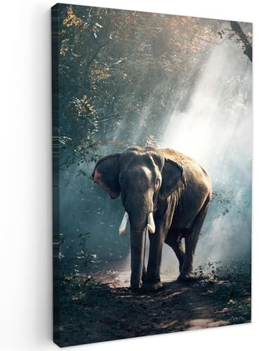 MuchoWow© Impression sur Toile Decoration Murale Peinture 40x60 cm Tableaux Decoratifs Muraux Déco Chambre Tableau Salon Éléphant - Animaux - Lumière - Forêt - Nature - Vie sauvage