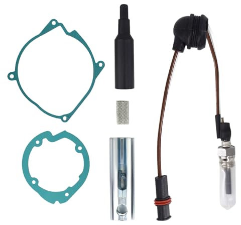 CULMKARI Wartungsset für Eberspaecher Airtronic D4 4 kW 12 V Standheizung, Wartungsset mit Glühkerze, Sieb-Kit und Dichtungen OE# 252069011300 252069100102 252113010003 252113060001 (D4)