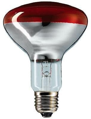 La zappa Lampada ad infrarossi riscaldante per riflettore pulcini e cuccioli 150 w (Philips)