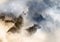 decomonkey Fototapete Tiere Wolf 400x280 cm XL Tapete Fototapeten Vlies Tapeten Vliestapete Wandtapete moderne Wandbild Wand Schlafzimmer Wohnzimmer Mond Wald Abstrakt