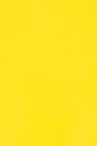 Netuno 50 x Tonkarton DIN A3 297x 420 mm Gelb 250g Burano Giallo Zolfo Bastelkarton einfarbig Fotokarton A3 bunt durchgefärbt Feinpapier DIY Bogen Kreativ-Karton farbig buntes Tonpapier