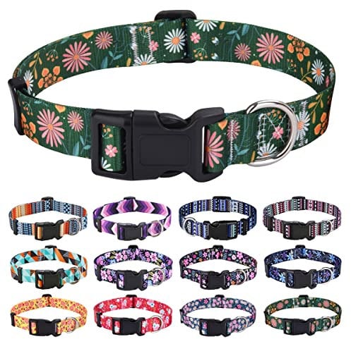 Mihqy Hundehalsband Verstellbares, Weich & Komfort Nylon Hunde Halsband für Kleine Mittlere Große Hunde Welpen Katzen(Dunkel Grüne Blume, XS)