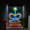 REWIS Shisha LED Letrero de neón, Luces de neón Multicolores alimentadas por USB Personalizadas con atenuador, para Hookah Bar Vape Shop Colgante de Pared Regulable Decorativo,A,30x20cm