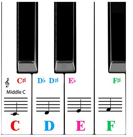 QMG Piano Stickers for 61-Key Keyboard, Bright Colorful Stickers, Perfect Visual Tool for Kids and Beginner Learning Piano, Transparent and Removable, Leaves No Residue