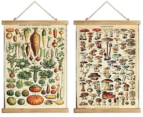XIAOAIKA Set von 2 Vintage-Wandkunstwerken: Botanische Gemüse- und Pilzillustrationen mit Holzrahmen - Dekorative Poster fürs Zuhause (40 x 58 cm)