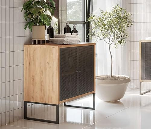 .Deftrans Aufbewahrungsschrank, Metallschrank mit Doppeltür 70 x 80 cm, Soft Close, Stahlgestell Vintage- Schrank für Wohnzimmer, Büro und Bad