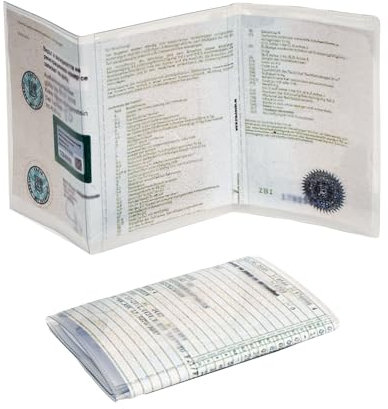 NIUQIGE Custodia per libretto di circolazione del veicolo, 2 pezzi, trasparente, in PVC, per A250, certificato di immatricolazione del motociclo