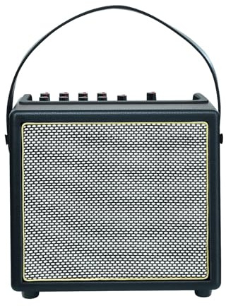 Portable Acoustic Guitar Amp, 30W Electric Guitar Amplifier with 5 Effects, Reverb Mic, Bluetooth/Aux, Type-C Recording, Headphone Output for Performances & Jamming
