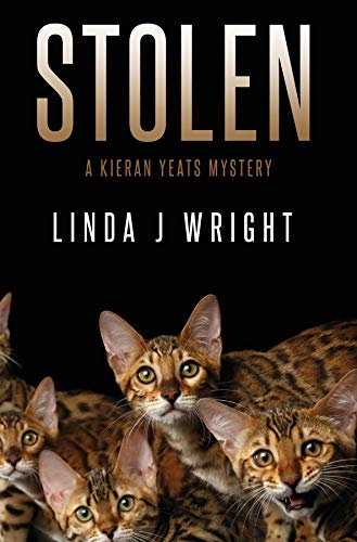 Stolen: A Kieran Yeats Mystery (English Edition)