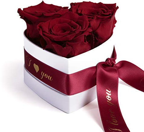 Infinity Rosenbox Herz 3 ewige Rose in Dunkelrot Geschenk für sie - Valentinsday gift for her von Rosemarie Schulz Heidelberg (I Love You, Burgundy)