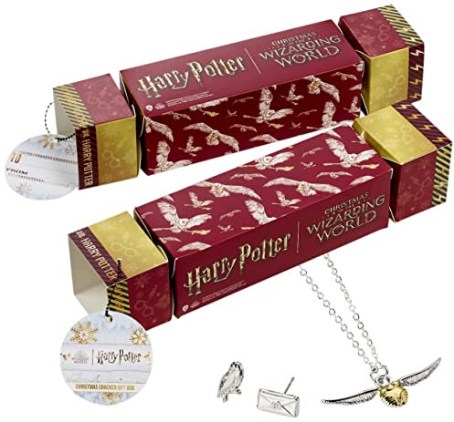 Harry Potter - Geschenk Box - Ohrringe und Kette Hedwig