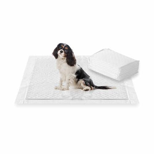 Puppy Pads Heavy Duty Puppy Training Pads 3 Layers Design Waterproof Super Absorbent Fast Drying Toilet Pee House Training Mats For Odour Locking Dogs Cats Pets Rabbits & Guinea Pigs 50 X 40cm (10 Pk)