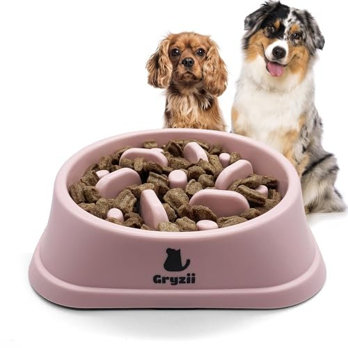 Gamelle Anti Glouton Chien Moyen | Bol d'alimentation Lente et Saine, Favorise la Digestion de l'animal, Anti Vomissements, Design avec Pieds Antidérapants, Chien de Taille Moyenne (Moyen, Rose)