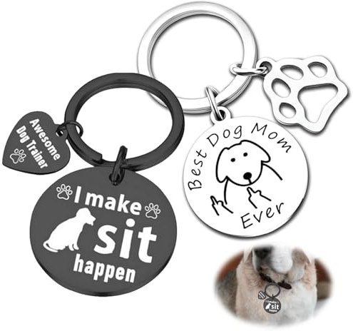 Acero inoxidable, placa de acero inoxidable, colgante redondo para perros y gatos (negro, plata, no ajustable)
