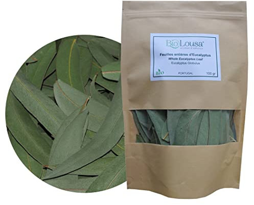 Eucalyptus Globulus feuilles entières séchées de qualité supérieure - Tisane eucalyptus Infusion 100% naturel 100 g - En direct du producteur