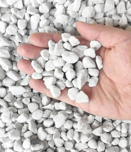 Vermiculite e perlite biologica per orticoltura di grado professionale da 50 QT (misura grande, perlite, 50 QT)