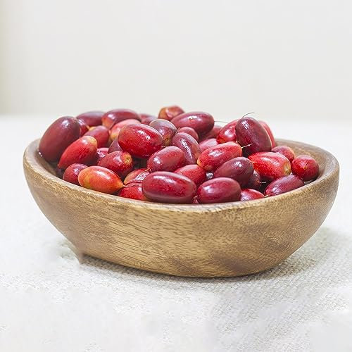 80 pcs Synsepalum Dulcificum Samen, balkonpflanzen winterhart, samen zimmerpflanzen bonsaibaum echt, stauden winterhart mehrjährig säulenobst winterhart, samen bio saatgut, balkon