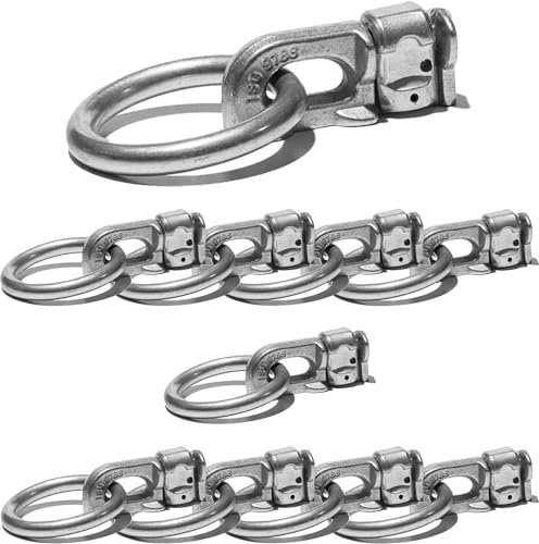 Safetytex Doppel Endfitting mit Ring - Endbeschlag Stahl/ALU - Fitting Zurröse 2500kg Bruchlast - Double Stud Zurrschiene - Airlineschienen Zubehör (10 Stück)
