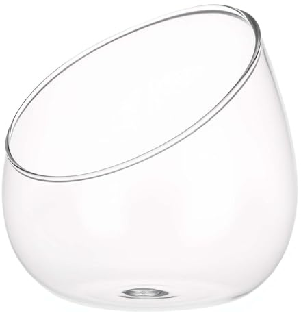 Generisch Mikrolandschaft Glasflasche mit Korkverschluss Bruchfeste Sukkulenten Deko Ökologische Flaschendekoration für Zuhause und Geschenk