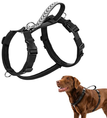 Arblina Hundegeschirr, Ausbruchsicheres Antizuggeschirr für Kleine, Mittlere und Große Hunde, Hundegeschirr Gepolstert mit Front Clip und Weichem Griff für Training, Spaziergänge und Laufen, Schwarz S