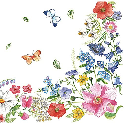 DAISY 3-Ply Spring Flowers Tissue Paper Napkins Serviettes for Decoupage Lunch 33cm x - Pack of 20 (Blossom Border) (21301SDOG)