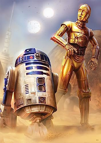 Buffalo Games Star Wars – Droiden bei Tatooine – 300-teiliges Puzzle für Erwachsene – herausforderndes Puzzle perfekt für Spieleabende – Fertige Größe ist 21,25 x 15,00 cm