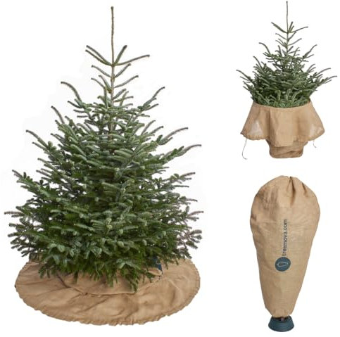 TREEMOVA 2in1 Weihnachtsbaumdecke & Transporthülle - Schutz vor Tannennadeln über Weihnachten und zum nadelfreien Transport & Entsorgen des Baums bis 200cm/ Ø 130cm. (Natur, L)