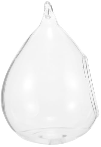 Tofficu Terrarium Suspendu en Verre Transparent 13,5 Cm pour Plantes Grasses, Jardinière Murale Globe en Verre, Vase Décoratif Suspendu pour Succulentes et Plantes Aériennes