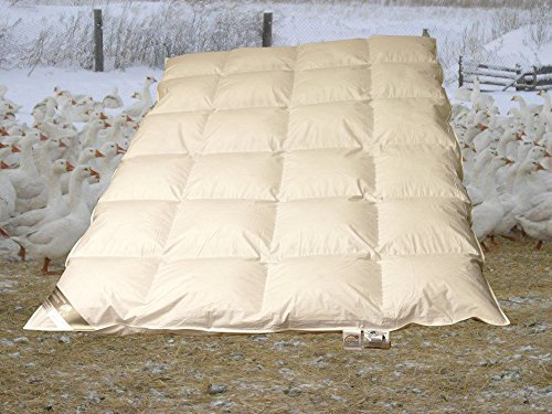 Betten Hofmann White Sibiria Schneegänse 8cm Hochsteg Winter Daunendecke Daunenbett 4x6 155x220, Winterdecke, superwarm, Naturprodukt, 100% Daunen, 1320 Gramm