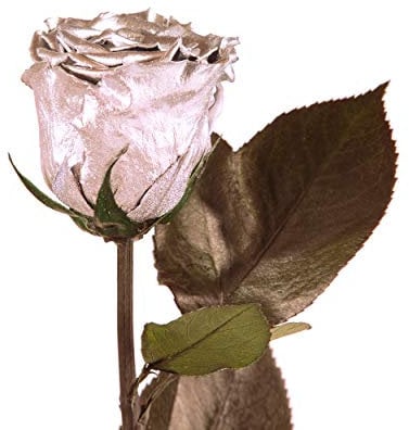 Infinity Rose Silber mit Stängel - echte Rose 45-50cm haltbar 3 Jahre - konservierte Rose die eine Ewigkeit blüht für 25 Jahre Jubiläum Geschenke zur Silberhochzeit silberne Tischdeko (Silber)