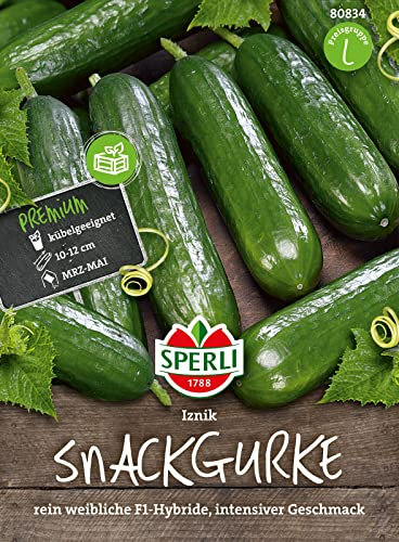 Sperli Snackgurkensamen Iznik, F1 80834 – reinweibliche Sorte ohne Kerne - Inhalt für 5 Pflanzen - Gemüsesamen, Samen Gemüse, Gemüse Pflanzen, Saatgut