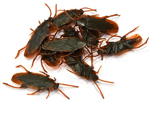 Jorzer Gefälschte Kakerlake Realistische Plastik -Kakerlach -Insekten Witzspielzeug Aprilscherz Streiche gruselige Trickwanzen Streiche für Erwachsene Aprilscherz Tag Dekorationen 10pcs