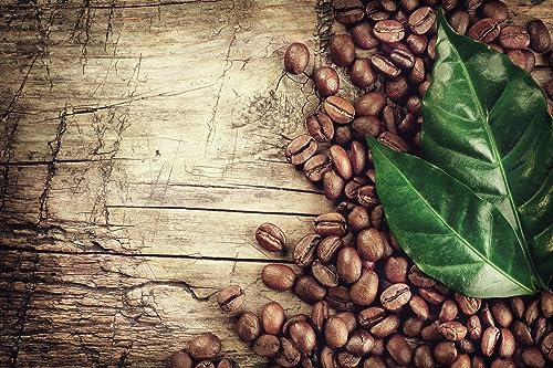 Queence | Küchen Spritzschutz Kaffeebohnen 80x60x0,3 cm | Küchenrückwand | Alu-DiBond | Fliesenschutz für den Herd und Spüle | Küchenfliesen | Fliesenspiegel | Rückwand