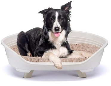 Ferplast Panier Chien Surélevé avec Coussin en Coton, Lit en Plastique Recyclé Moyen, Corbeille Respirante Antidérapante, Throne 82 x 59,5 x h 29,5 cm, Blanc