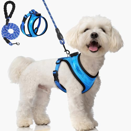 AUAUY Hundegeschirr Leuchtend, Leuchtgeschirr LED Aufladbar Reflektierendes, 3Modus Atmungsaktiv Leucht Geschirr mit 1.5M Leine Verstellbar Hunde Sicherheitswestenlichter für Nachtspaziergänge-Blau/XS