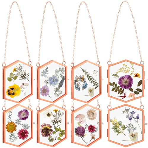 Leinuosen Schwebender Glasrahmen zum Aufhängen, 9,4 x 8,4 cm, gepresster Blumenrahmen, Vintage-Messing, sechseckig, schwebender Bilderrahmen, Doppel-Bilderrahmen, Kunstwerk, Display-Rahmen für Foto,