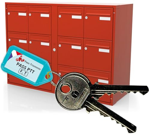 Clé Pass PTT F+T - Ouvre Serrures Boîtes aux Lettres & Immeubles (Norme La Poste) - Acier Nickelé - Lot F10 et T10