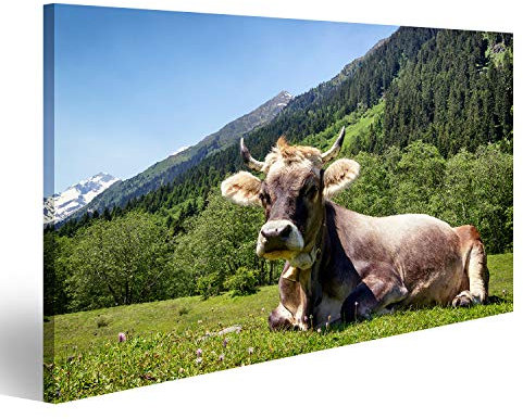 Bild auf Leinwand Kuh An Der Alpen Wandbild Poster Kunstdruck Bilder