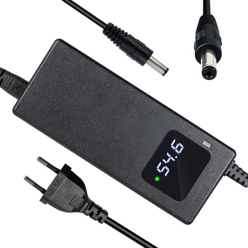 Caricabatterie da 54,6 2 A, per scooter elettrico, 48 V, 13 s, batteria agli ioni di litio, 1 foro, spina da 5,5 x 2,1 mm, alimentatore da 48 V con ventola integrata, con display per la