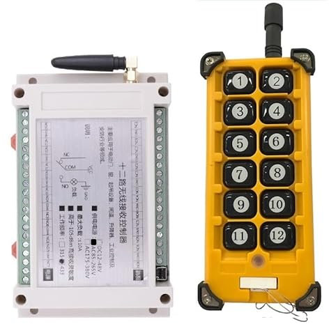 20 ~ 200 m telecomando a 12 canali AC220 V – ricevitore RF + trasmettitore per gru a ponte/gru