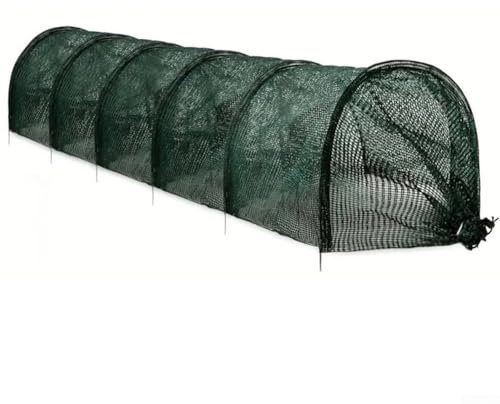 Design robuste de serre tunnel de jardin de 3 m pour une protection fiable des plantes
