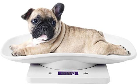 Digitale Haustierwaage, Kleintiergewichtswaage, Tragbare Elektronische LED-Waage, Multifunktions-Küchenwaage Zum Wiegen von Welpen-Kätzchen-Hamster-Igel-Schildkrötenfutter, Max. 22 Pfund